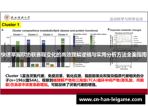 快速掌握欧协联赛程变化的高效理解逻辑与实用分析方法全面指南 快速掌握欧协联赛程变化的高效理解逻辑与实用分析方法全面指南